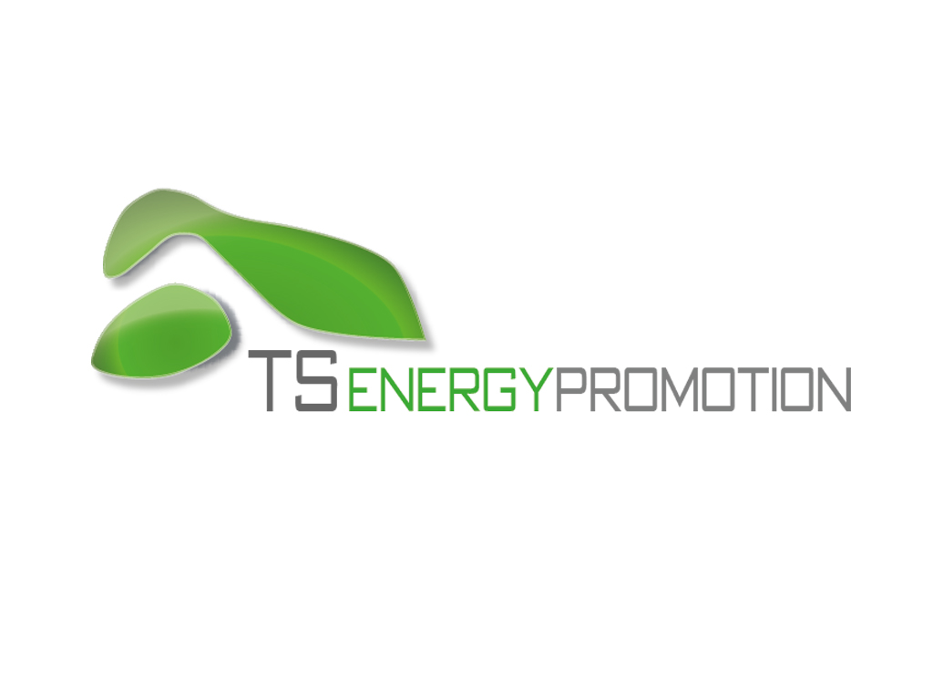 TS Energy Logo